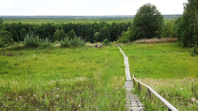 Спуск к Сусанинскому болоту