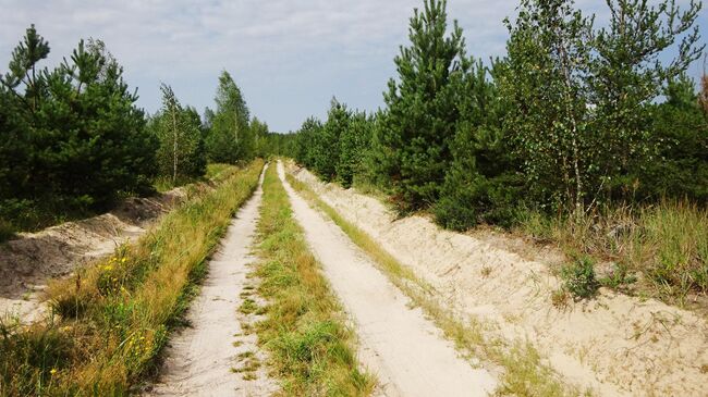 Тропа Паустовского