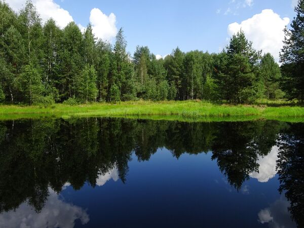Озеро в урочище Пяткино Озеро в урочище Пяткино