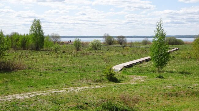 Экотропа В гостях у серой цапли на берегу Плещеева озера