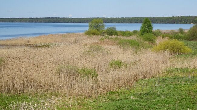 Экотропа В гостях у серой цапли, вид на Плещеево озеро