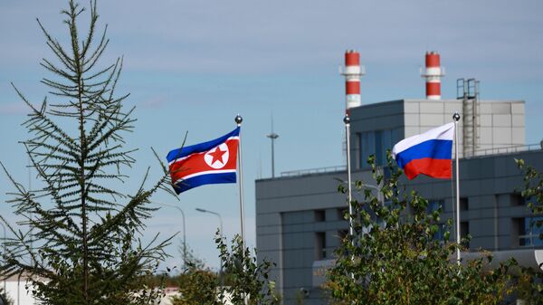 Флаги России и КНДР на территории космодрома Восточный