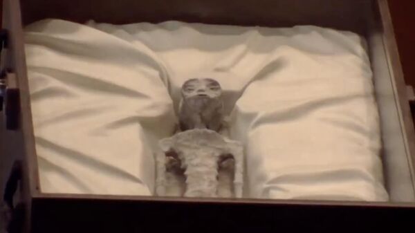 Мумия, представленная в Мексике уфологом Хайме Мауссаном. Кадр видео