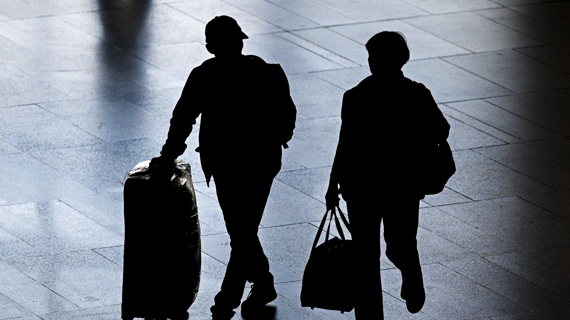 Пассажиры в аэропорту - РИА Новости, 1920, 20.12.2023