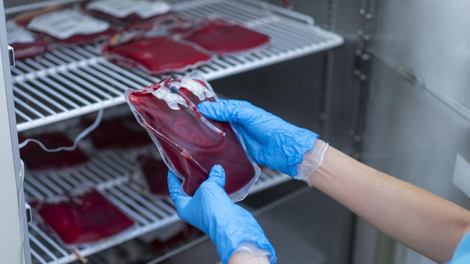Врач проверяет пакеты с донорской кровью в лаборатории - РИА Новости, 1920, 16.09.2023