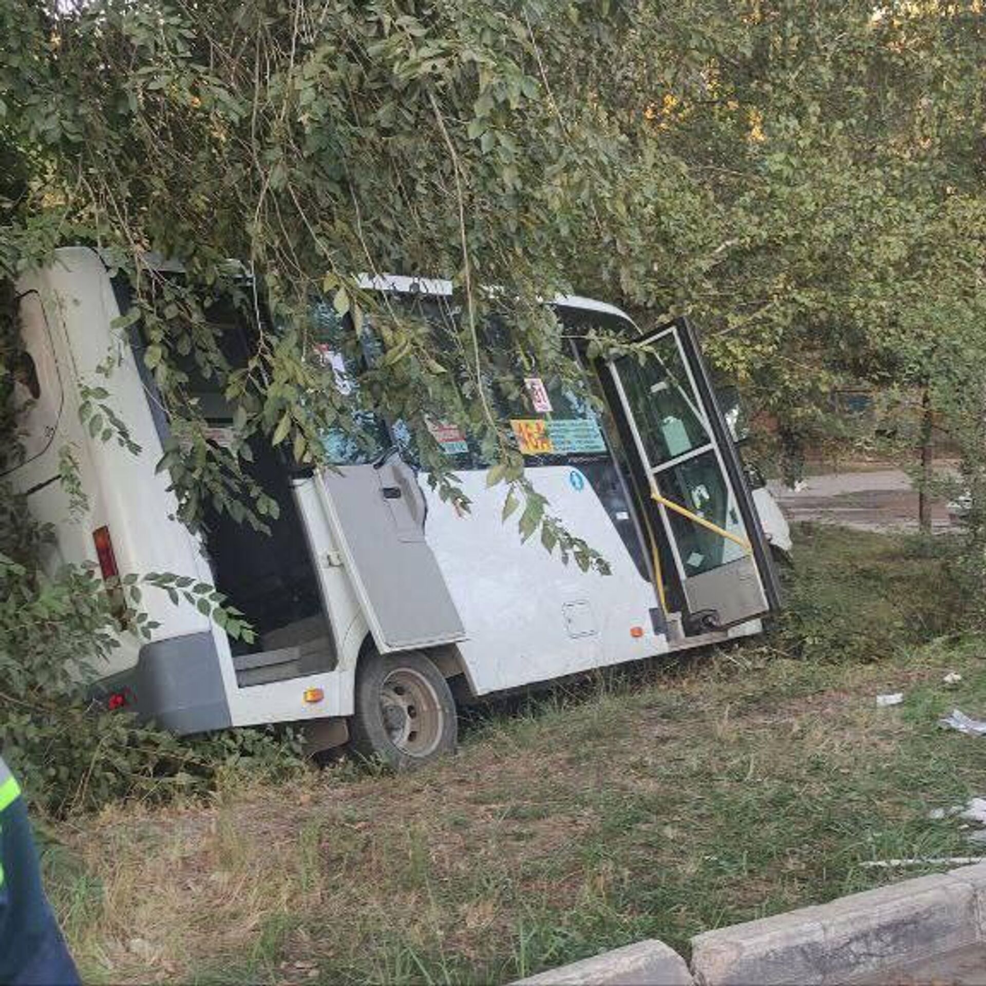 В Саратове маршрутка врезалась в дерево - РИА Новости, 15.09.2023