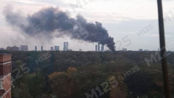 Дым от пожара в Тимирязьевском парке Москвы