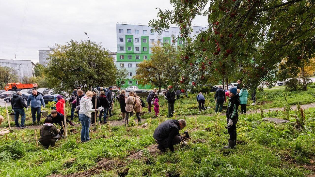 Жители Мурманска высадили шесть тысяч саженцев на акции Зеленый рекорд - РИА Новости, 1920, 16.09.2023