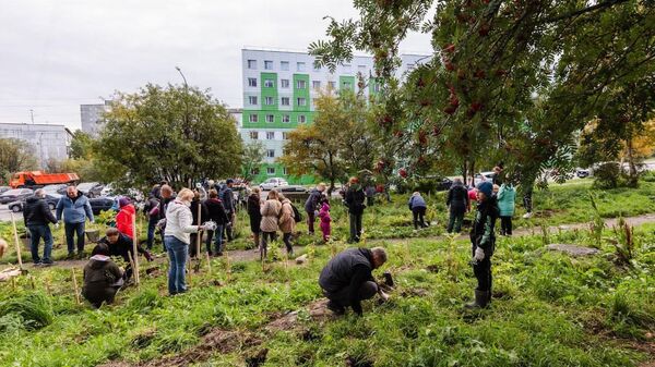 Жители Мурманска высадили шесть тысяч саженцев на акции Зеленый рекорд