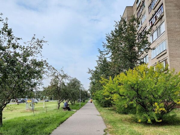Черноголовка. На одной из улиц города Черноголовка. На одной из улиц города