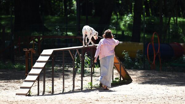  Женщина с собакой на собачьей площадке в Грачевском парке