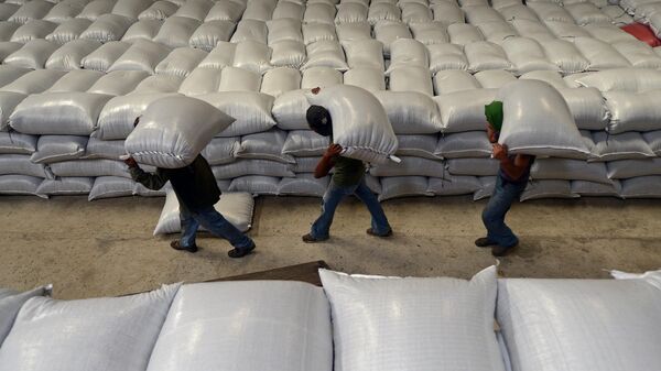 Рабочие несут мешки с кофейными зернами в департаменте Эль-Параисо, Гондурас