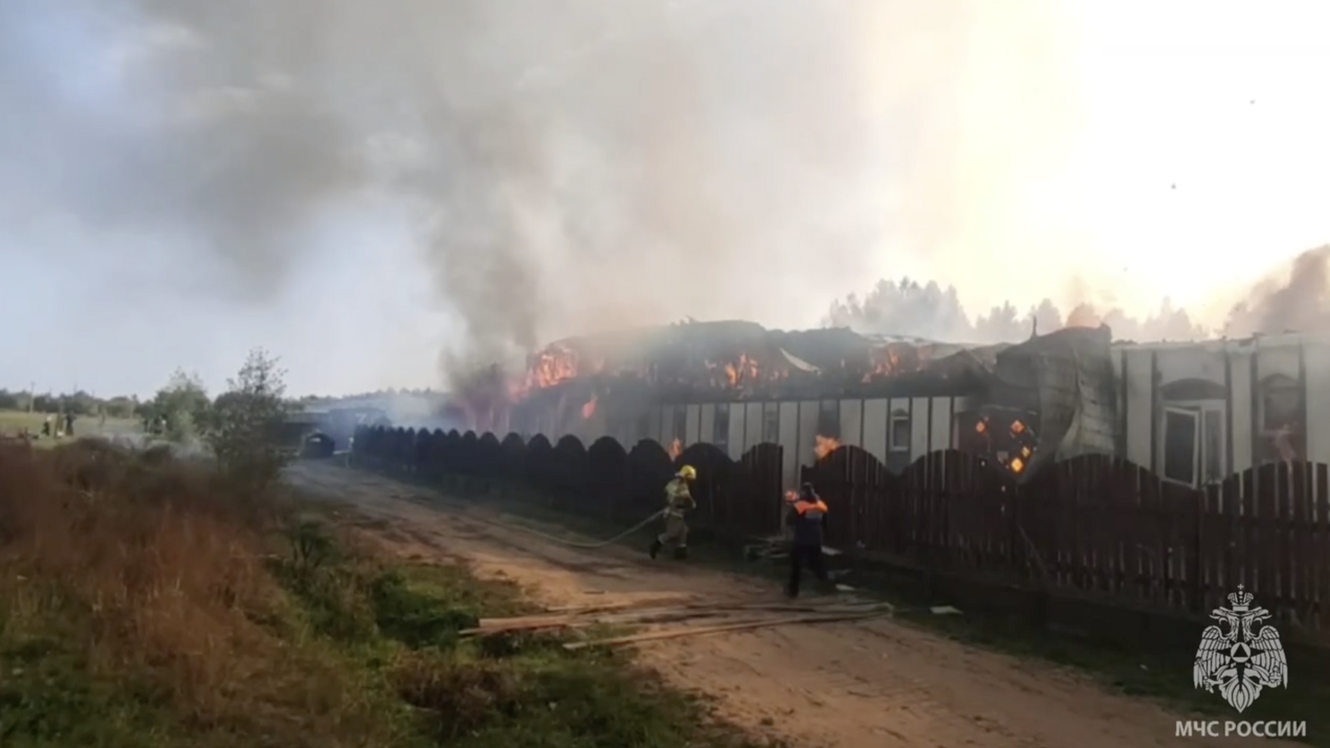 Пожар на конюшне детской конной академии во Ленинградской области. 23 сентября 2023 - РИА Новости, 1920, 23.09.2023