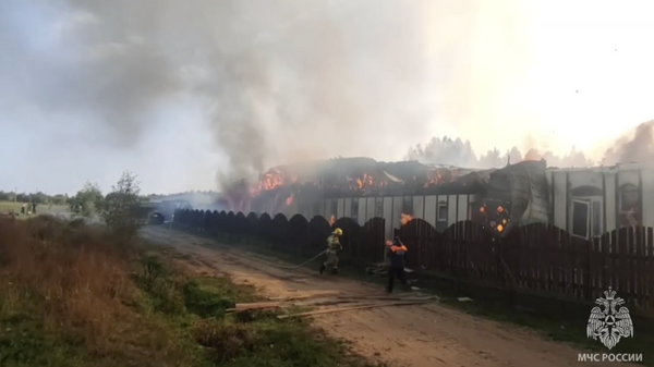 Пожар на конюшне детской конной академии во Ленинградской области. 23 сентября 2023