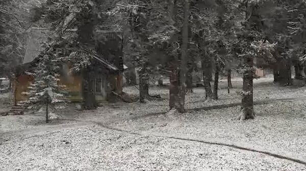 Первый снег на Алтае 