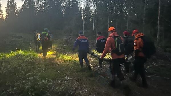 Спасатели совместно с добровольцами эвакуируют пожилую жительницу Ленинградской области, которая заблудилась в лесу