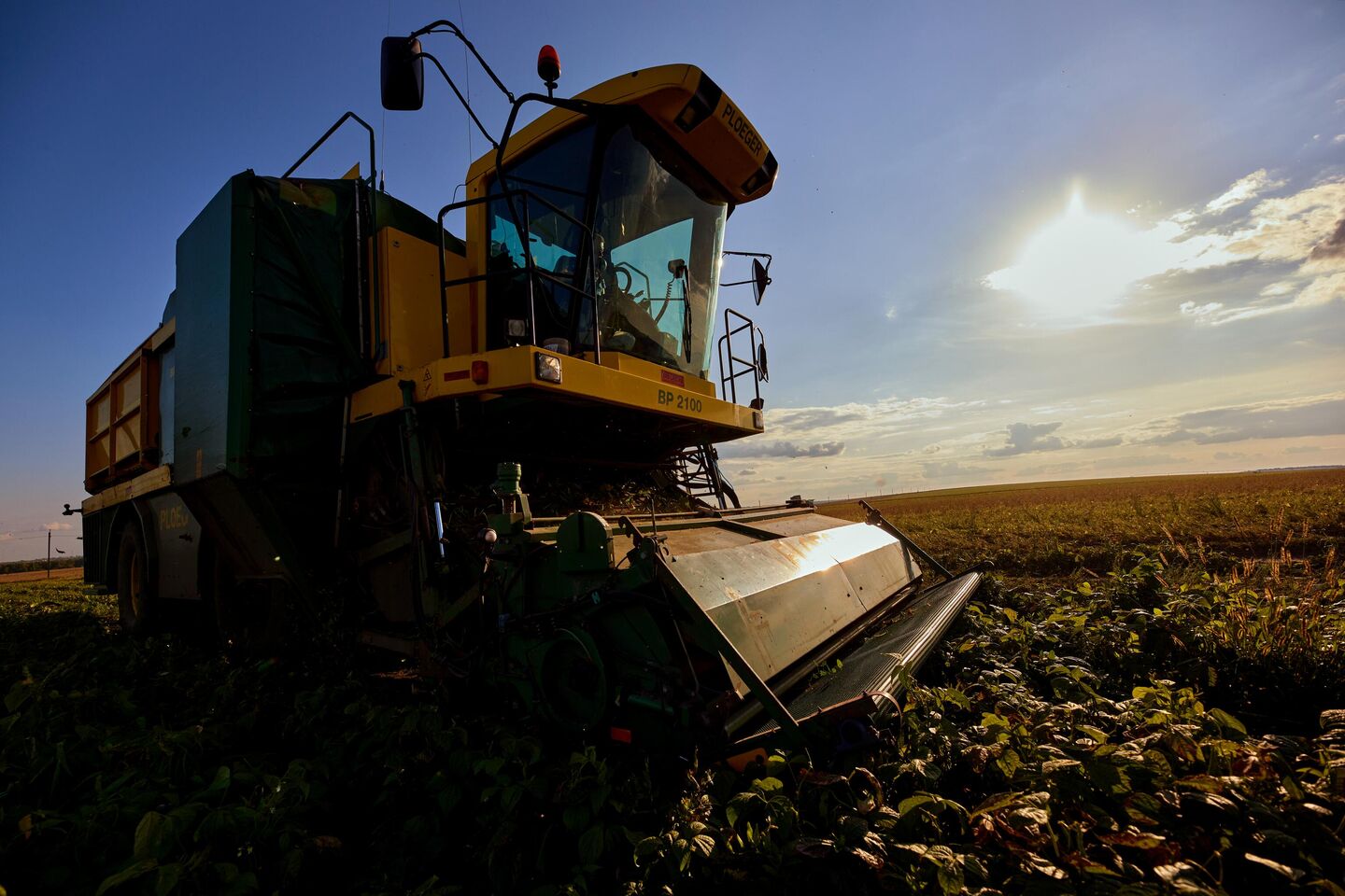 Компания контролирует всю цепочку создания продукта Компания контролирует всю цепочку создания продукта