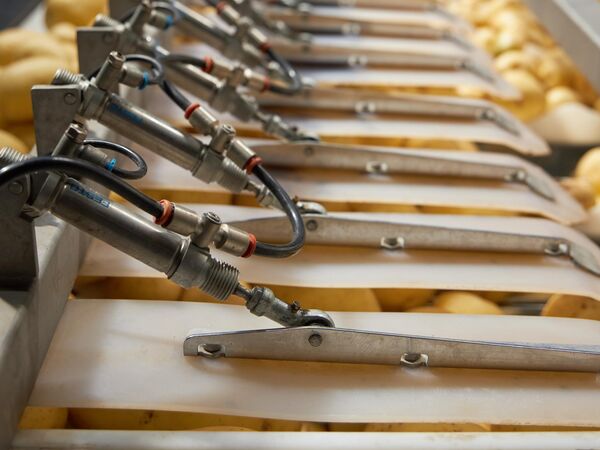 Производство Мираторг Производство Мираторг