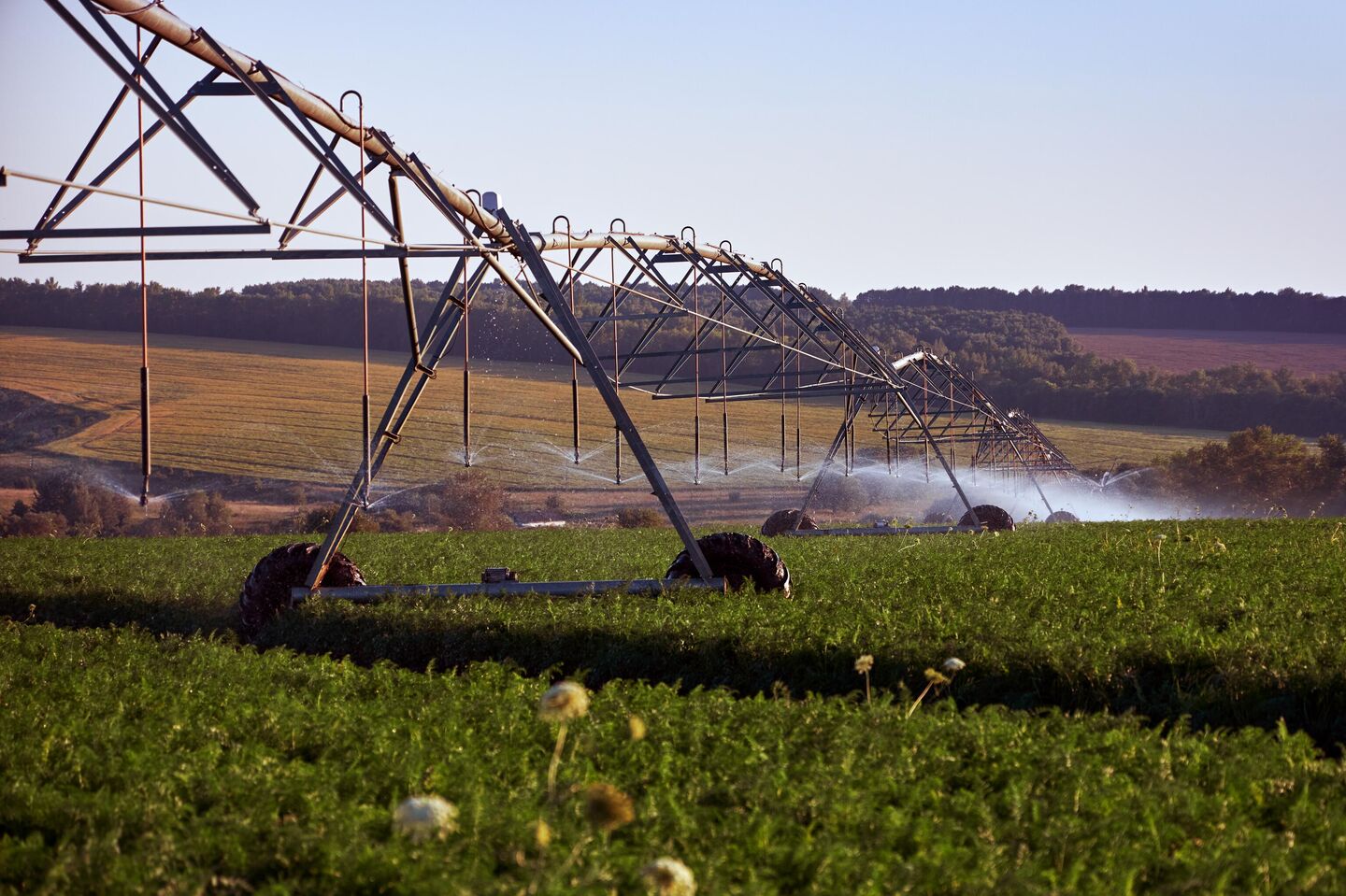 Выращивание под орошением Выращивание под орошением