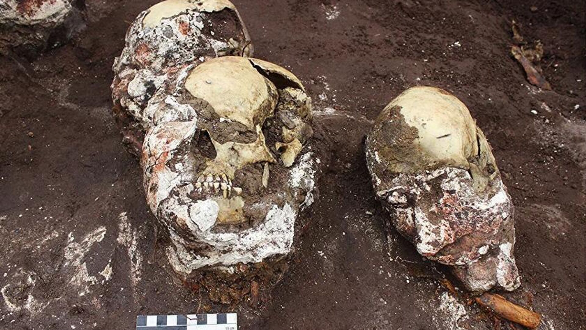 Польские археологи обнаружили могилу скифского воина в Подкарпатском воеводстве