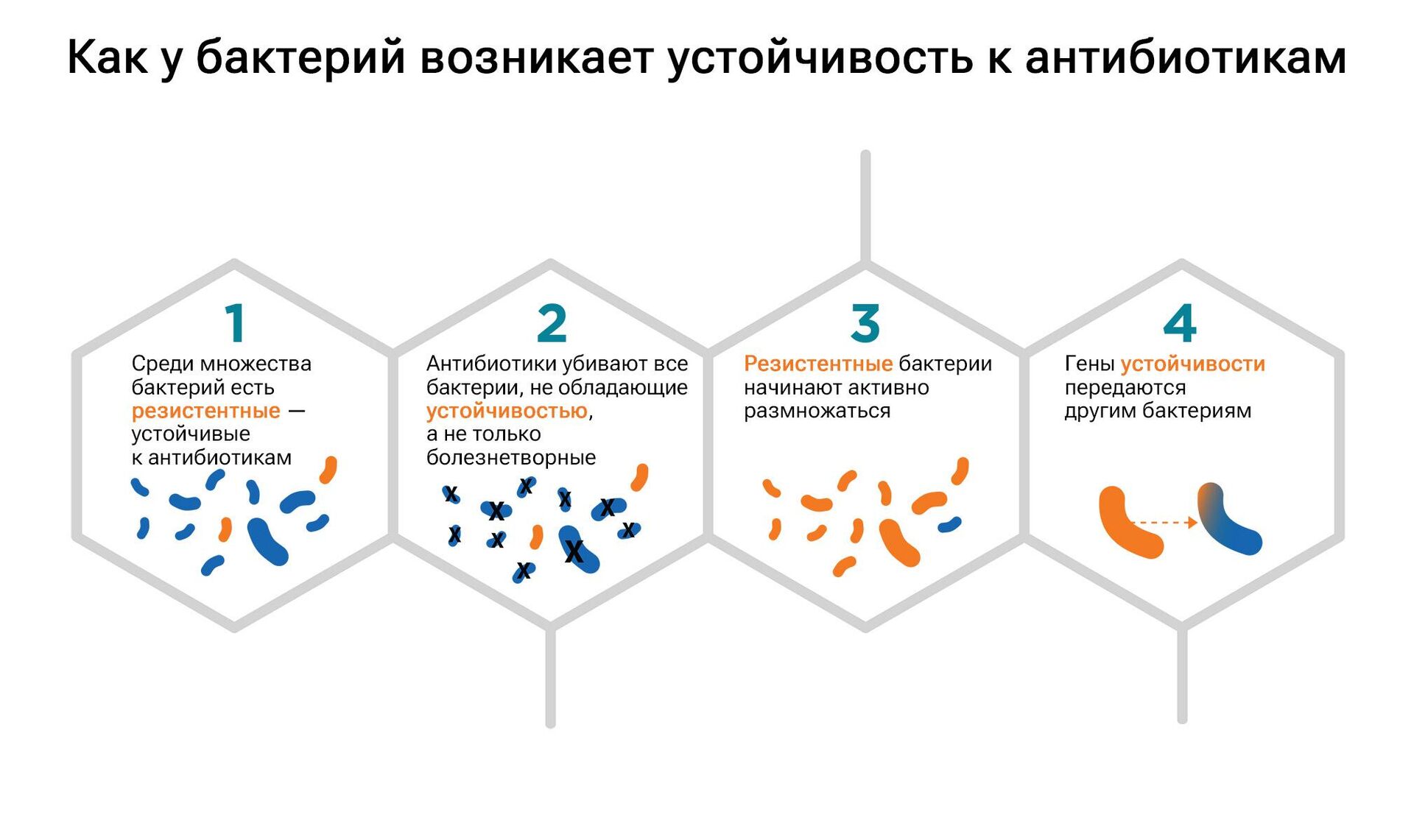 Как у бактерий возникает устойчивость к антибиотикам - РИА Новости, 1920, 29.09.2025