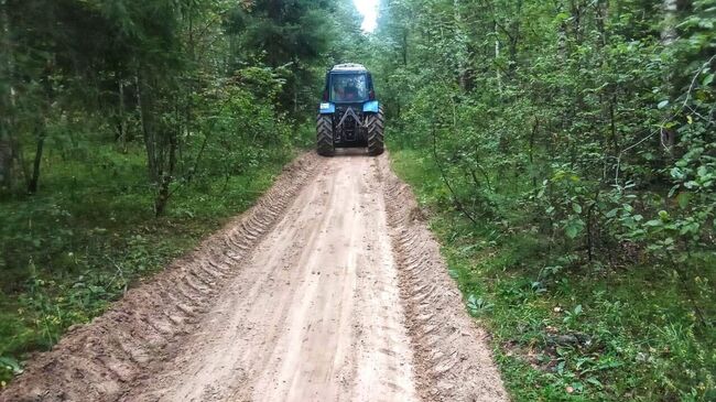 Свыше 260 километров лесных дорог благоустроили в Подмосковье