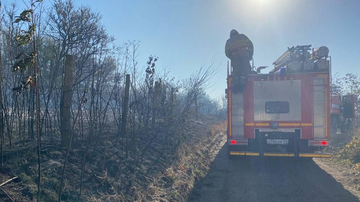 Пожар в Темрюкском районе Краснодарского края. 28 сентября 2023 - РИА Новости, 1920, 28.09.2023