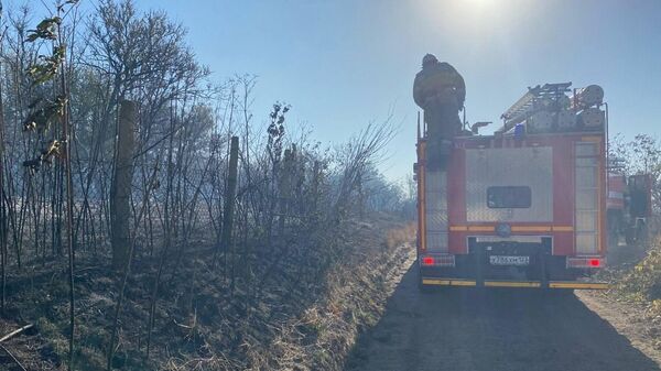 Пожар в Темрюкском районе Краснодарского края. 28 сентября 2023