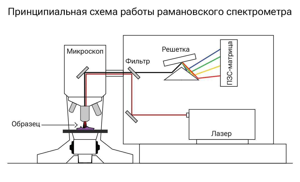 Принципиальная схема работы рамановского спектрометра - РИА Новости, 1920, 02.10.2023