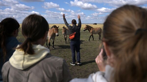Подпускать лошадей Пржевальского близко к участникам экскурсии нельзя. Если животные слишком приблизились, нужно поднять руки вверх и сделать шаг вперед