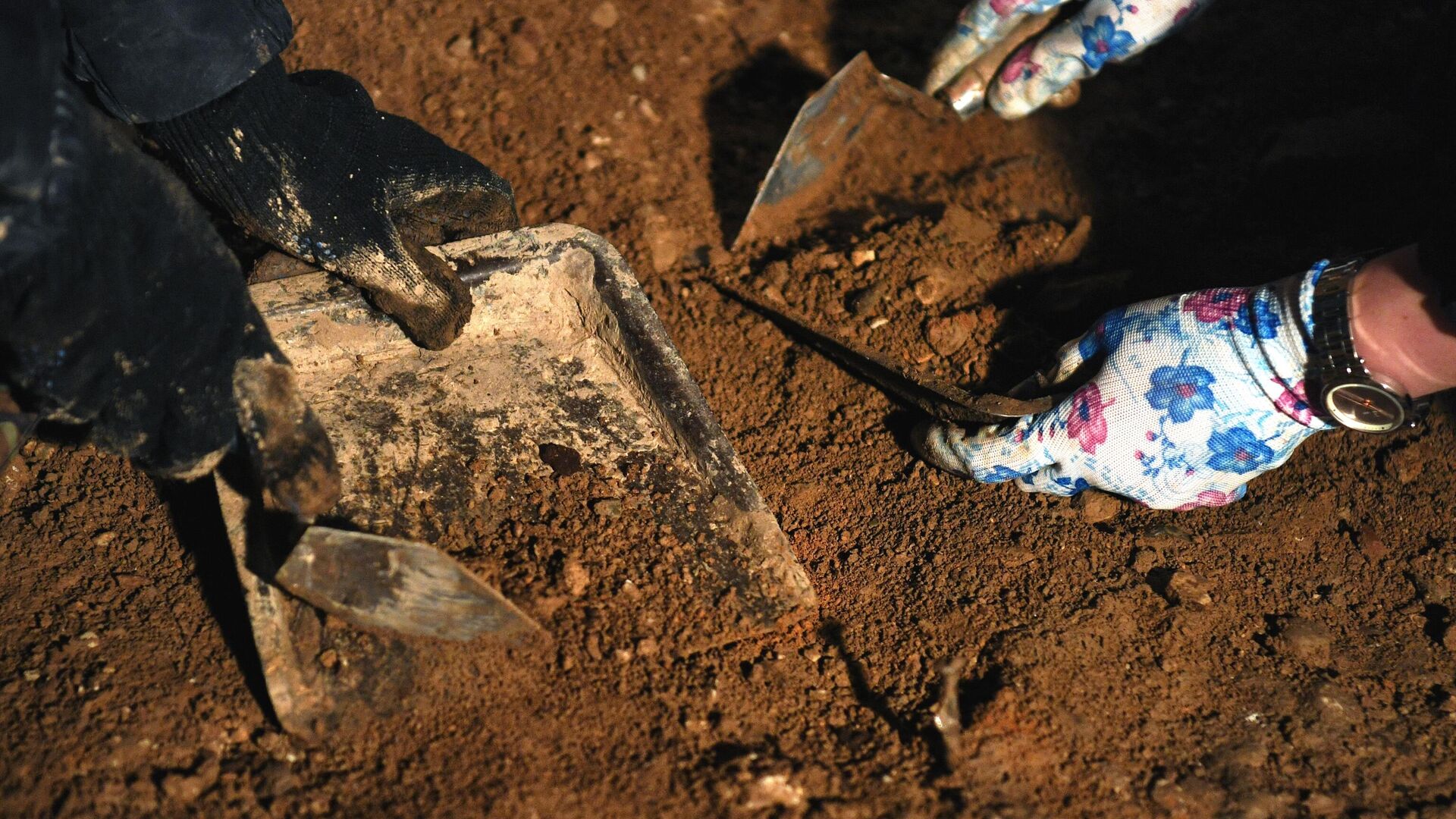 Польские археологи обнаружили могилу скифского воина в Подкарпатском воеводстве