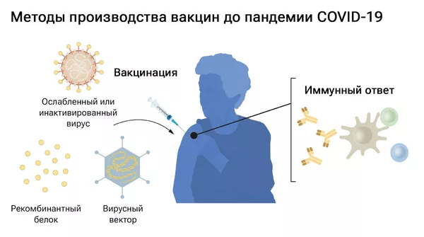 Методы производства вакцин до пандемии COVID-19