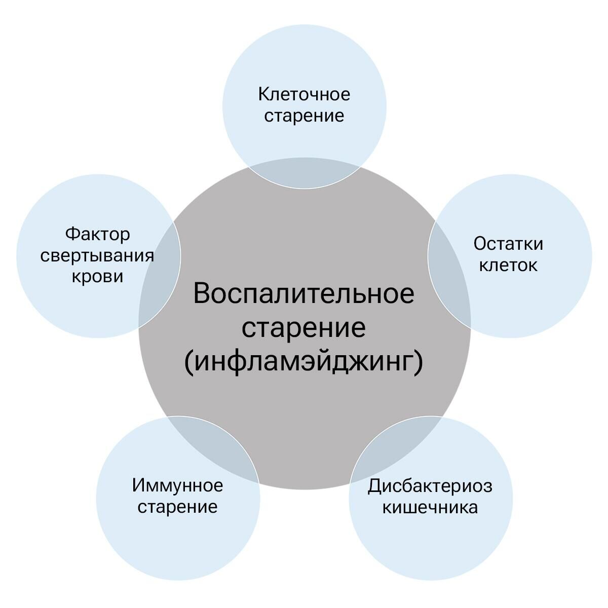 Источники воспалительного старения - РИА Новости, 1920, 13.10.2023