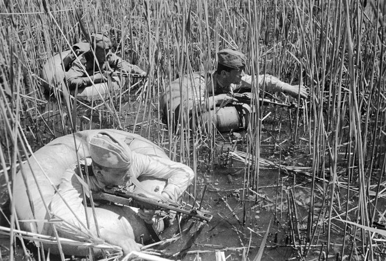 Разведка в плавнях в низовье Днепра. Сентябрь 1943 года.