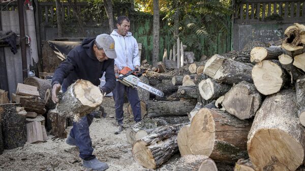 Мужчины заготавливают дрова для отопления в пригороде Кишинева, Молдавия