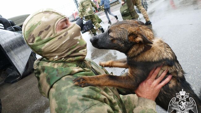 Боец ОМОН из зоны СВО со спасенной собакой