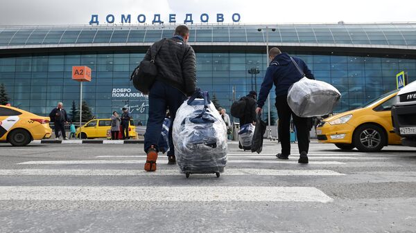 Пассажиры возле аэропорта Домодедово