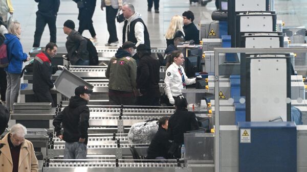 Пассажиры проходят досмотр в аэропорту Домодедово