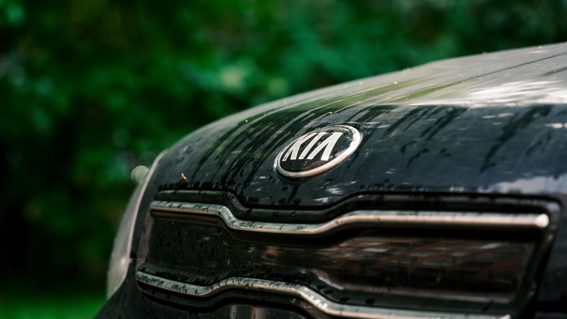 Логотип компании Kia на автомобиле - РИА Новости, 1920, 15.12.2025