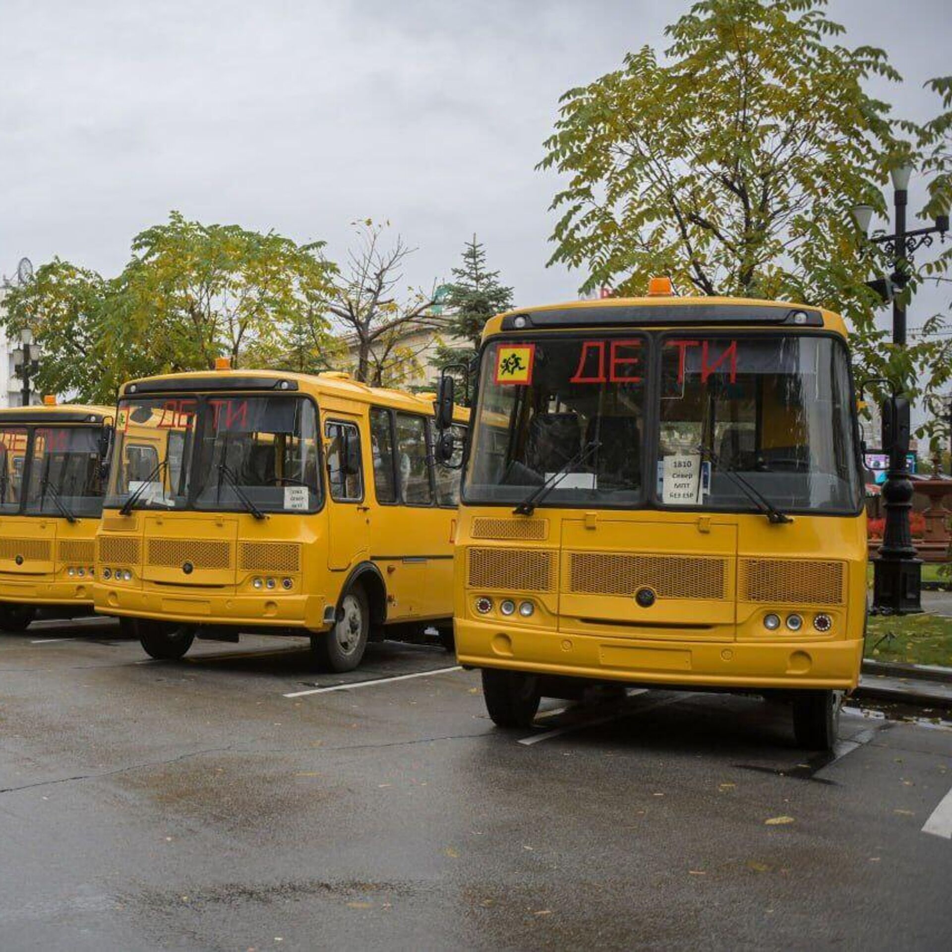 Более десятка новых школьных автобусов передали в районы Хабаровского края  - РИА Новости, 06.10.2023