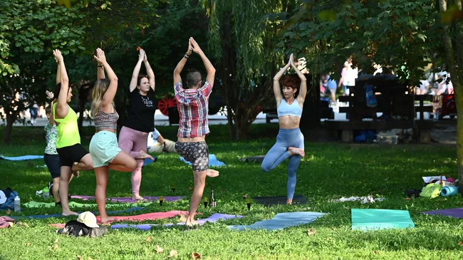 Отдыхающие занимаются йогой в парке