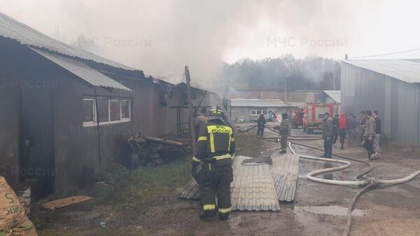 Ликвидация пожара в Гусь-Хрустальном районе Владимирской области