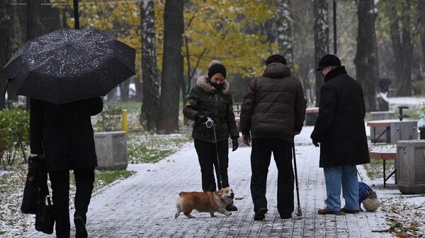 Люди выгуливают собак в одном из парков в Москве