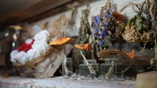 В гостях у травницы В гостях у травницы