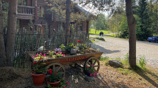 На одной из улиц деревни На одной из улиц деревни