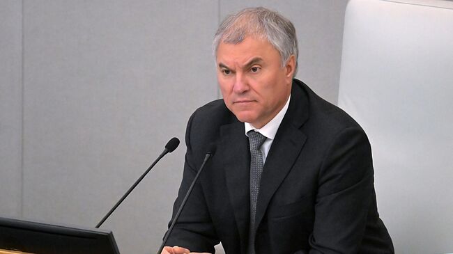 Председатель Государственной думы России Вячеслав Володин на пленарном заседании Государственной думы России