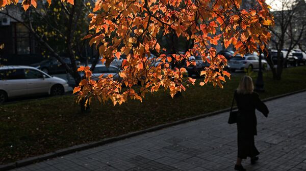 Девушка гуляет осенью