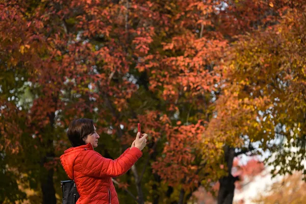 ノボシビルスクのレーニン広場にある劇場広場で紅葉を撮影する女性