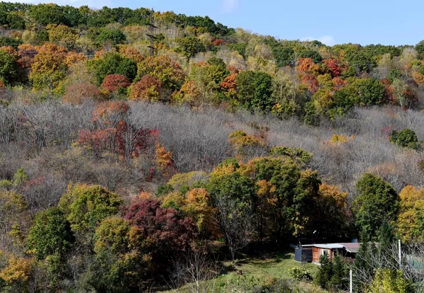 沿海地方の山中にある住宅建物