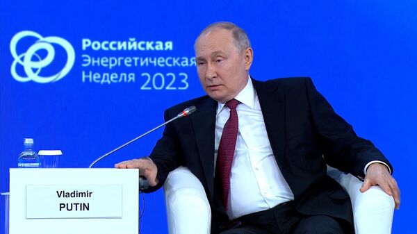 Путин: надо быть тупым, чтобы не понимать последствий отказа от российских ресурсов